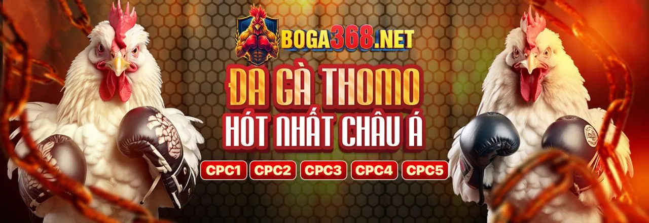 Đá Gà Trực Tuyến Bi88 Link Vào - Trải Nghiệm Đỉnh Cao Cá Cược